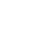 旺科LS伺服馬達